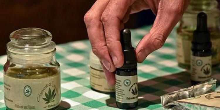 Cannabis medicinal: se habilitó el registro que permite el autocultivo