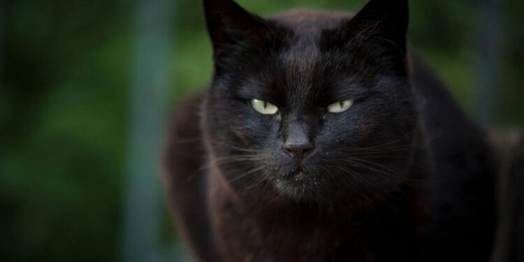 Martes 13: orígenes y mitos del día de la mala suerte