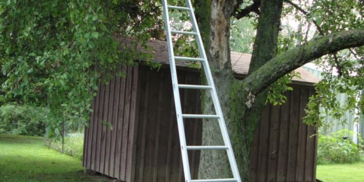 Recibió una descarga eléctrica, cayó de la escalera y murió