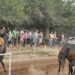 Video: Suspenden las carreras de caballos en el Club Hípico de Santa Ana