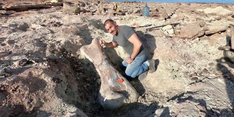 Neuquén: ﻿ Por la bajante de un lago, hallaron los restos de un dinosaurio gigante