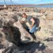 Neuquén: ﻿ Por la bajante de un lago, hallaron los restos de un dinosaurio gigante