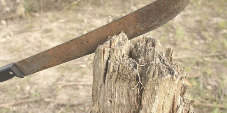 Goya: Nene intentó saltar un charco de agua, se resbaló y se clavó un machete