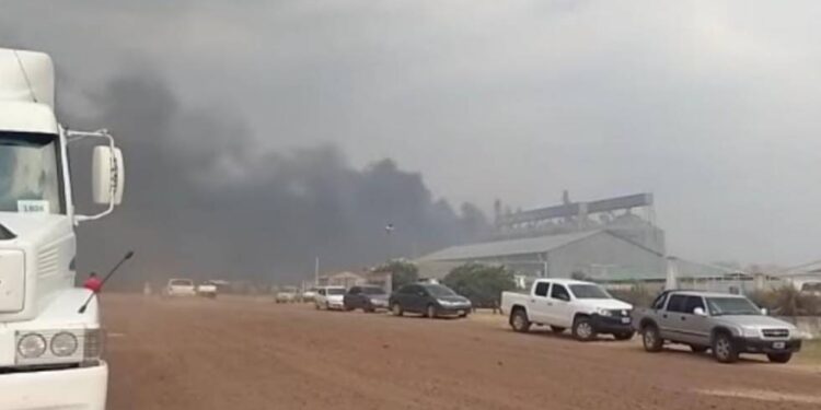 Registran un incendio en una arrocera