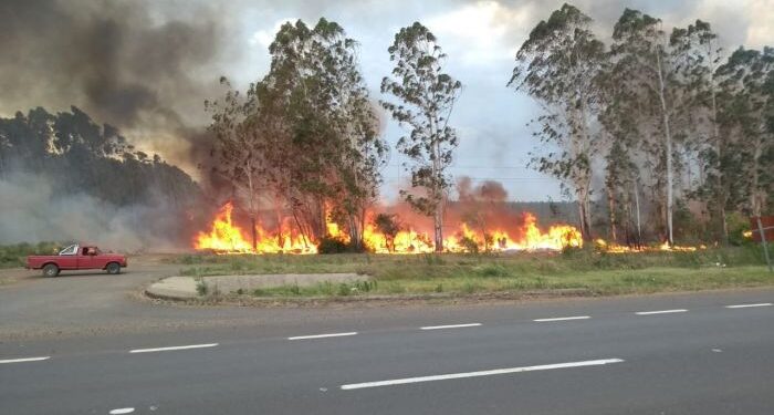 Santa Lucía: hombre murió calcinado en incendio de un campo
