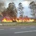 Santa Lucía: hombre murió calcinado en incendio de un campo