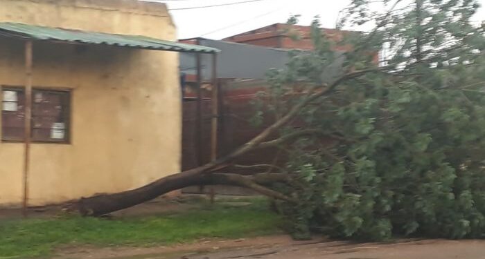Fuerte tormenta en Mocoretá dejó postes y árboles caídos