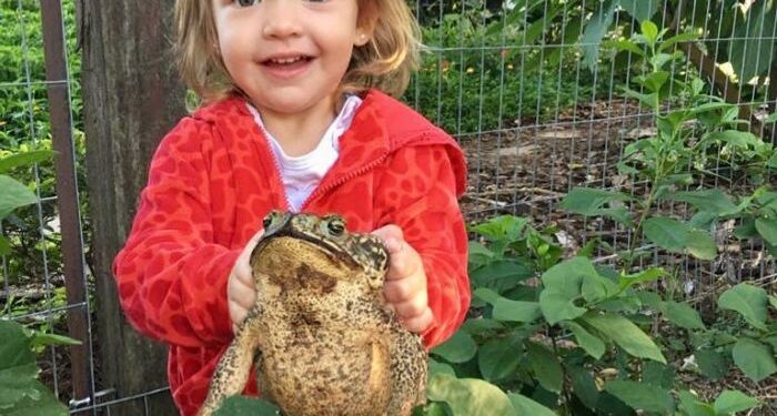 La nena correntina que es viral en las redes por su amor a los sapos