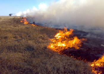 Incendios: bomberos trabajan en Pueblo Libertador y Goya
