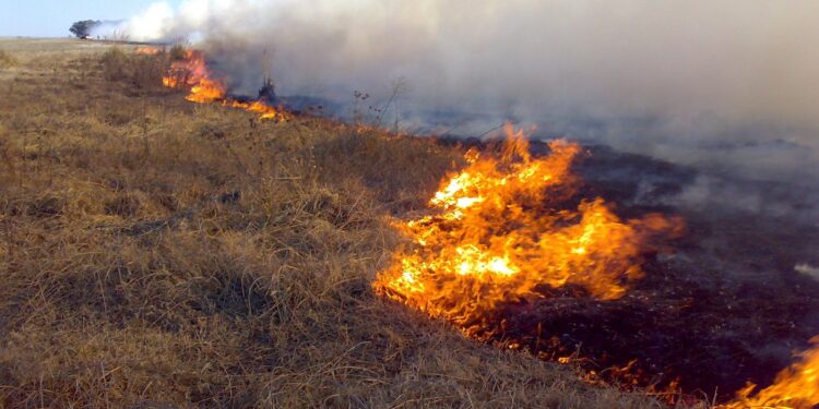 Incendios: bomberos trabajan en Pueblo Libertador y Goya