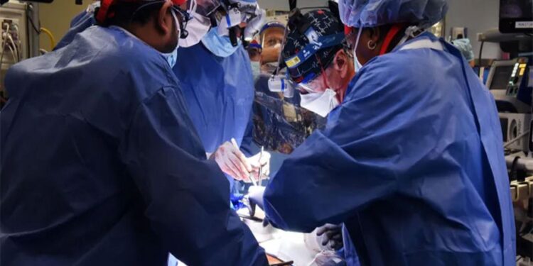 Trasplantaron el corazón de un cerdo a un humano