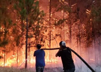 Nación destinará $500 millones para los productores afectados por incendios en Corrientes