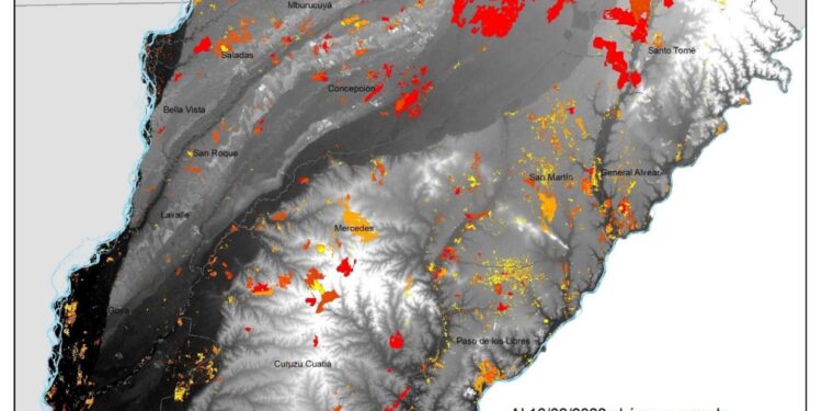 Corrientes: más de 700 mil hectáreas arrasadas por el fuego