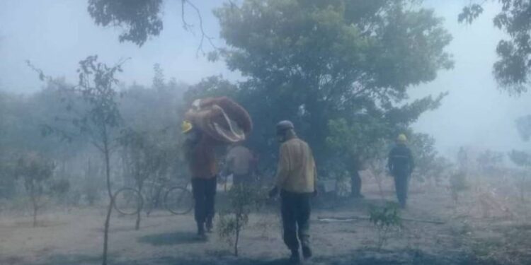 San Miguel: Amenazaron a bomberos mientras combatían un incendio