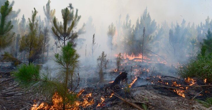 Una chispa de un tractor habría originado el incendio en los Esteros del Iberá