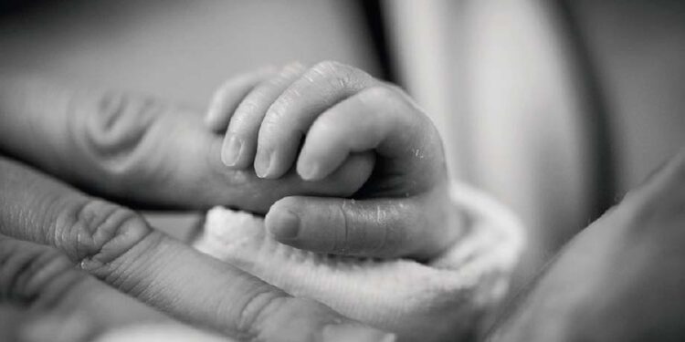 Días antes de morir, su madre le dio sus papeles de adopción: ahora quiere encontrar a su familia biológica