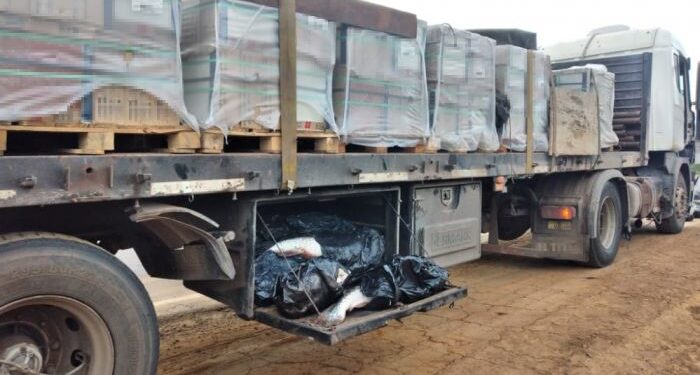 Llevaban contrabando de pescados ocultos en un camión