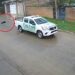 Goya: policías atropellaron intencionalmente a un perro y fueron filmados