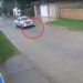 El comunicado de la Policía luego de que un agente haya atropellado a un perro