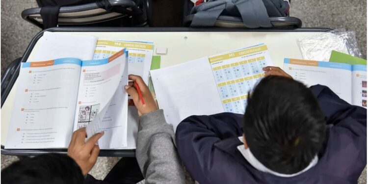 Argentina: 7 de cada 10 no entienden lo que leen