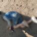 Corrientes: un niño fue atropellado por una camioneta y está grave