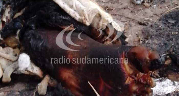 Macabro hallazgo: encontraron una pierna humana en un basural