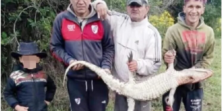 Libres: Masacraron un yacaré y los identificaron por las redes