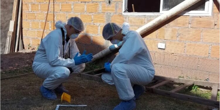 Entró a robar a una casa y murió: creen que fue atacado por un perro y luego lo lincharon