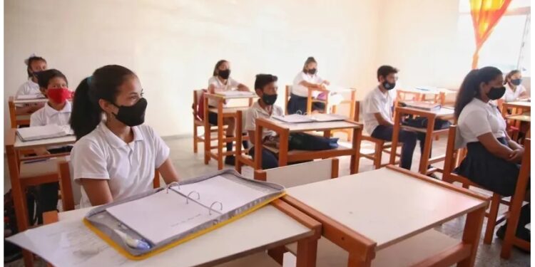 Son más de 20 los docentes de Corrientes que compraron títulos truchos