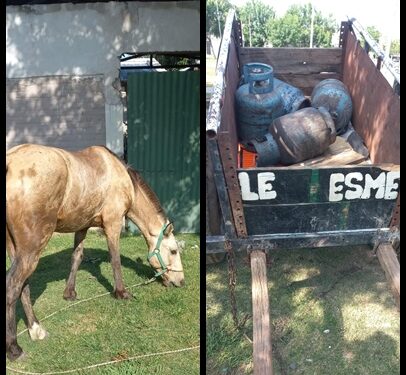 Llevaban garrafas robadas en un carro y huyeron dejando a un niño de 3 años