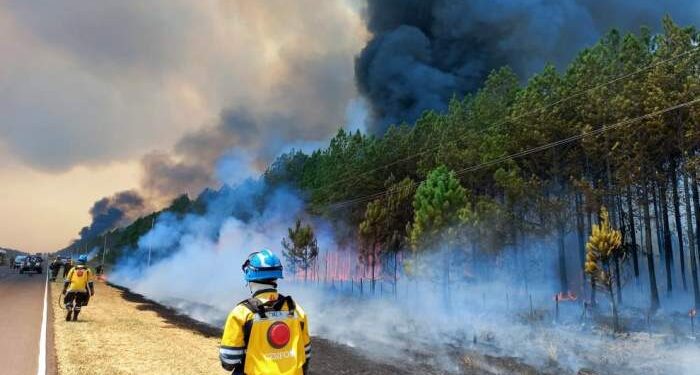 Corrientes: cómo denunciar la quema de pastizales en la región