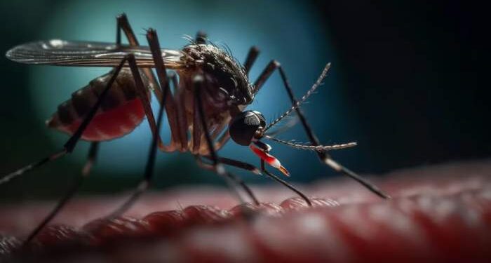 Dengue en Argentina: son 197 los fallecidos y hubo más de 269 mil casos