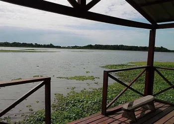 Buscan a un menor que se perdió cuando estaba pescando