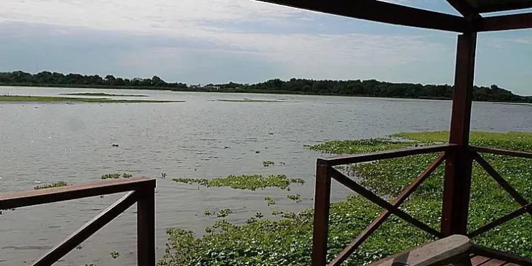 Buscan a un menor que se perdió cuando estaba pescando