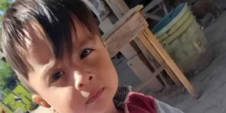 Caso Loan: descalifican chat donde supuestamente se asegura que el menor sigue vivo