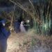 Hallaron sin vida a un hombre que era buscado en Santa Rosa
