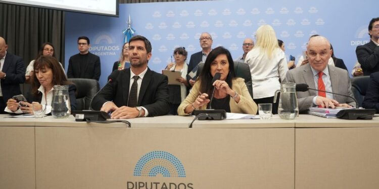 Baja de la edad de imputabilidad a los 14 años: el proyecto tiene dictamen, pero el Congreso no lo trata