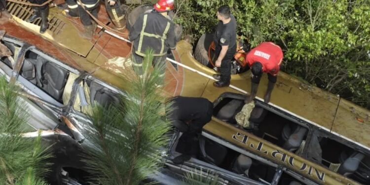 Tragedia en Misiones: un micro de larga distancia chocó, cayó a un arroyo y ocho personas murieron