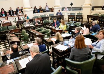 Media sanción al proyecto que garantiza menús sin TACC en Corrientes