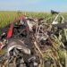 Cayó una avioneta fumigadora en campo de Entre Ríos
