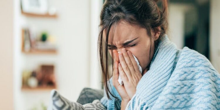 Brote de gripe H3N2: cómo podría impactar la variante K en Argentina