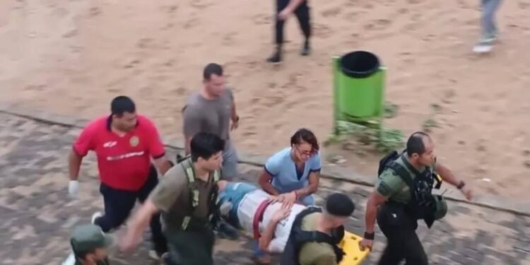 Adolescente cayó del Puente General Belgrano, impactó contra una plataforma y fue rescatado con vida