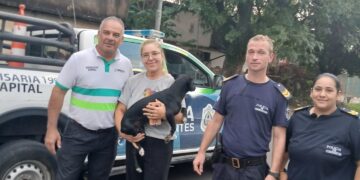 Denuncian un nuevo caso de abuso sexual a un perro a Corrientes