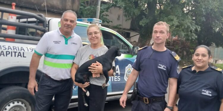 Denuncian un nuevo caso de abuso sexual a un perro a Corrientes