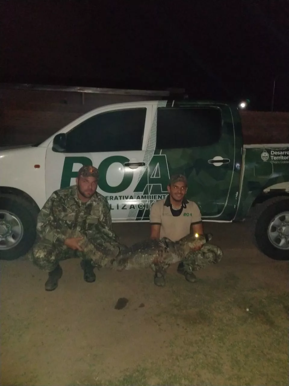 Chaco: una mujer se encontró con un yacaré dentro dentro de su casa