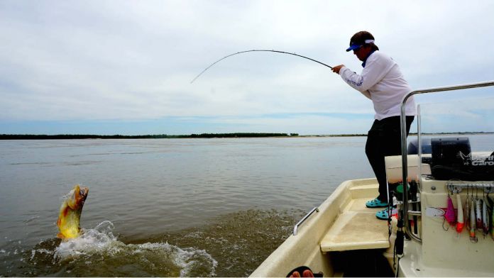 Desde este martes rige una nueva veda extraordinaria de pesca