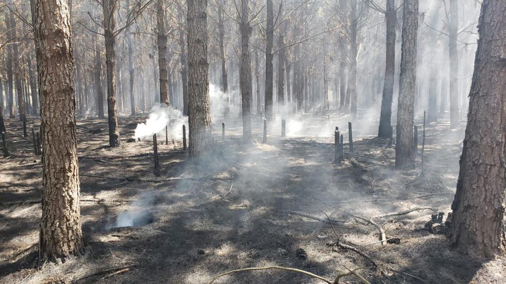 El gobernador Valdés declaró la Emergencia Ígnea en todo el territorio provincial