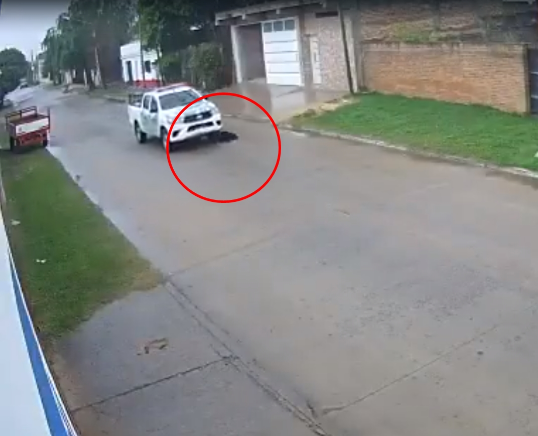 El comunicado de la Policía luego de que un agente haya atropellado a un perro