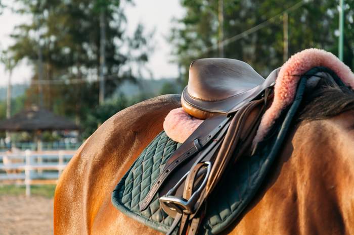 Una nena de 9 años murió tras caer de un caballo en Santo Tomé