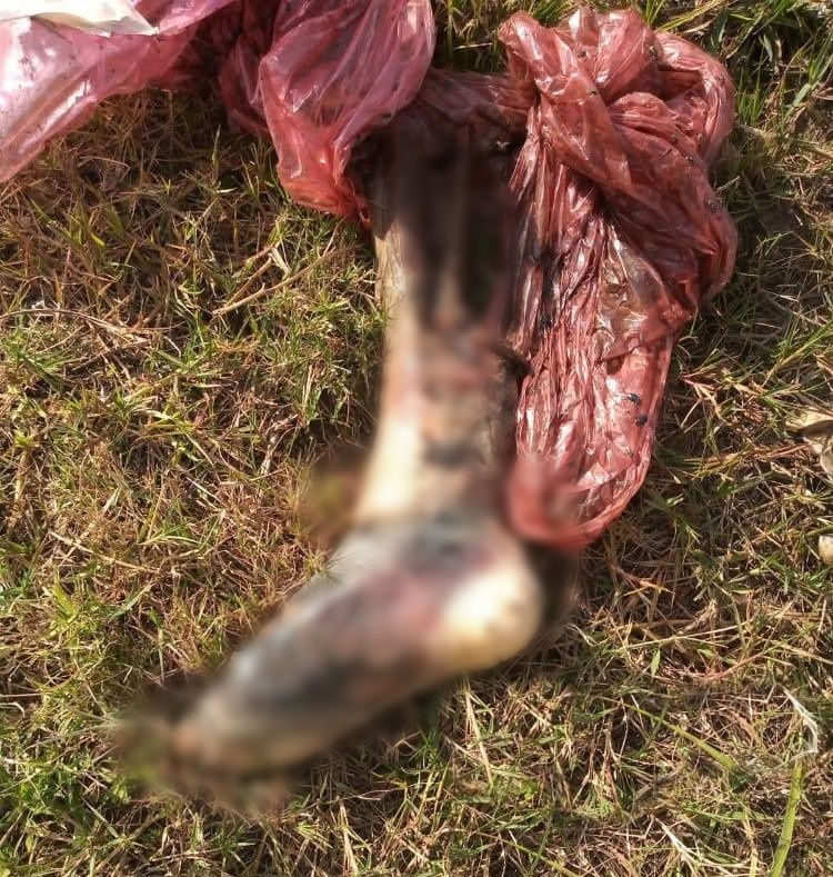 Bella Vista: encontraron una pierna humana en la calle